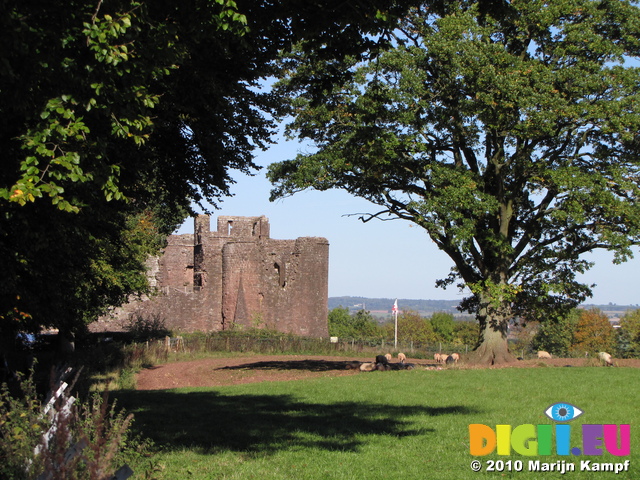 SX16700 Goodrich castle from distance